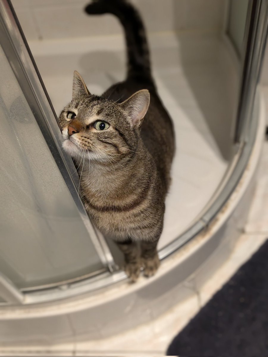 Bertrand tweet media