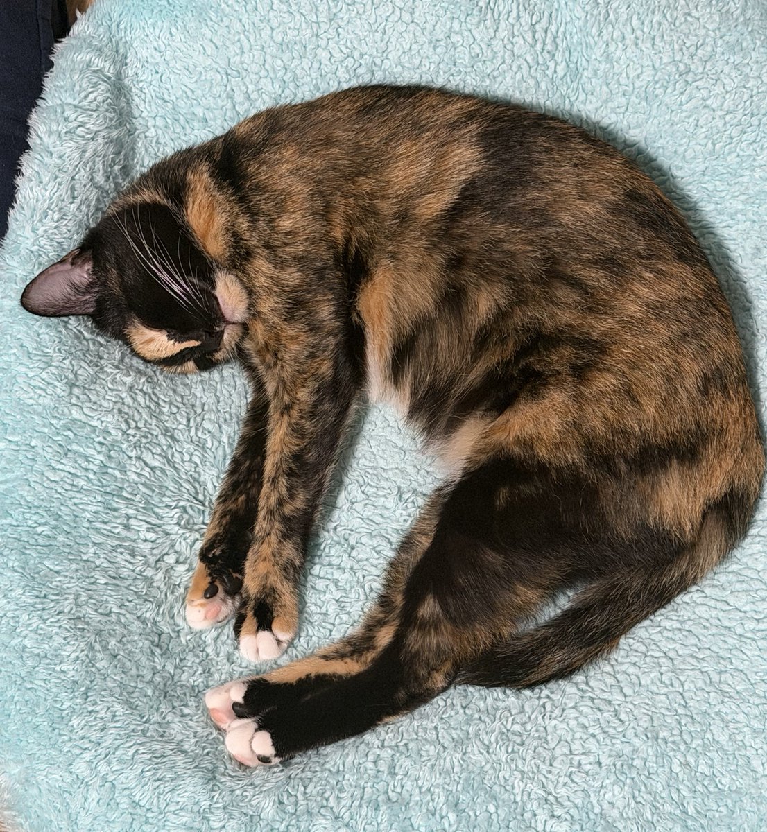 chaom.chaaem tweet media