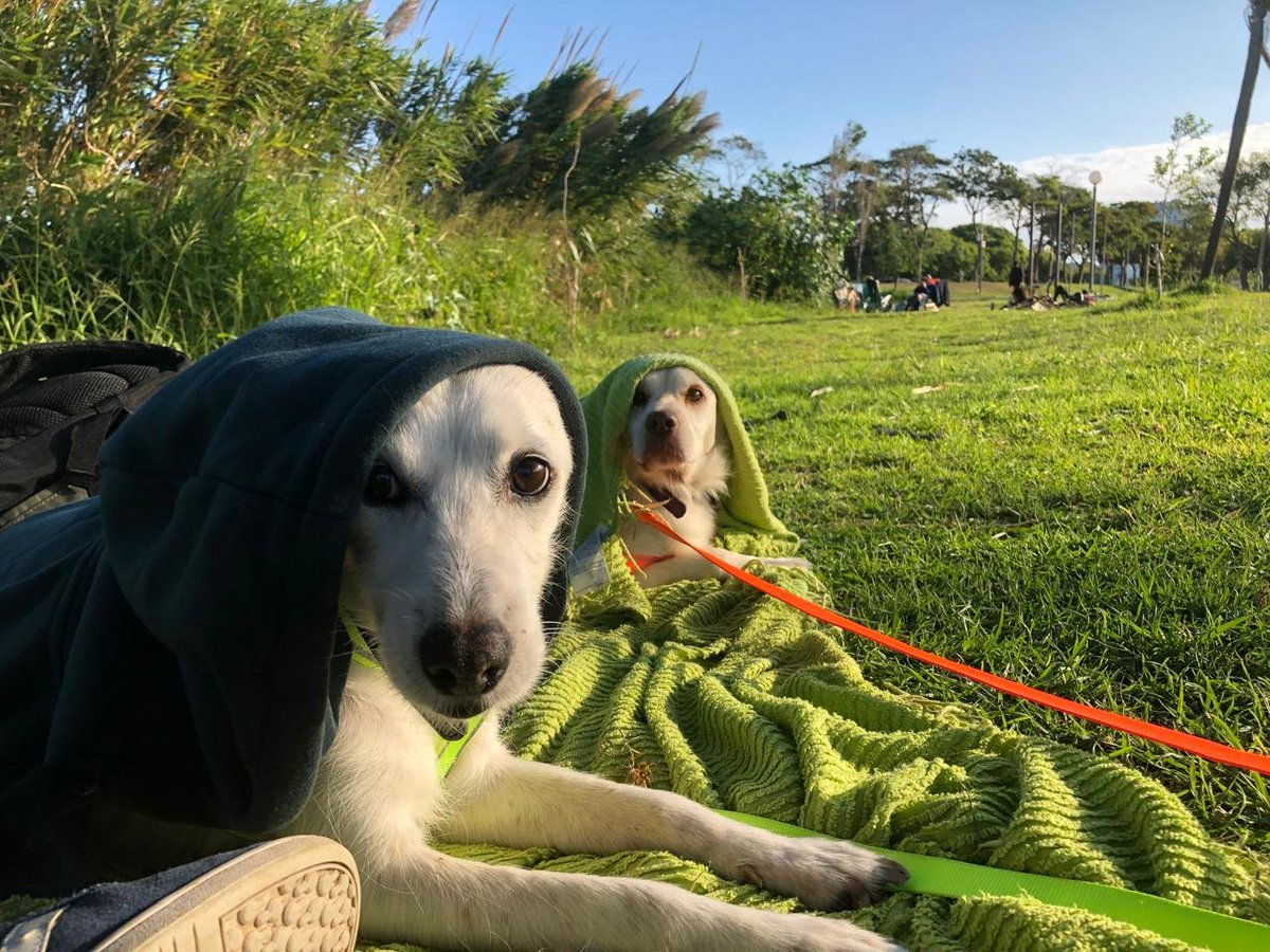 Emiliano Fuster tweet media