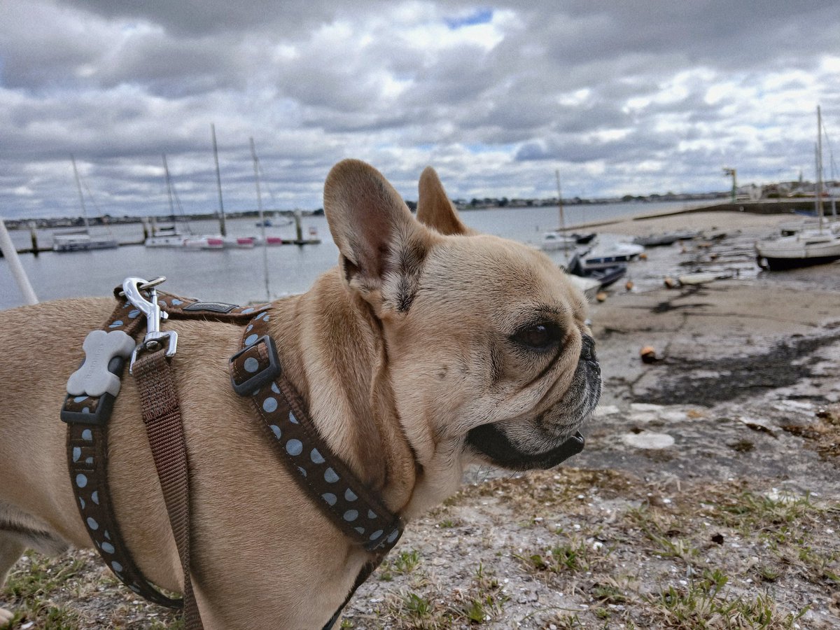 Valérie tweet media