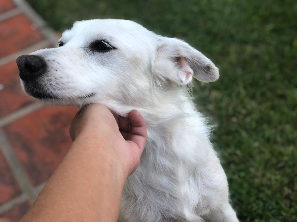 Emiliano Fuster tweet media