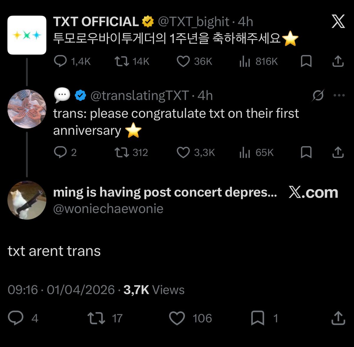 tinybear tweet media