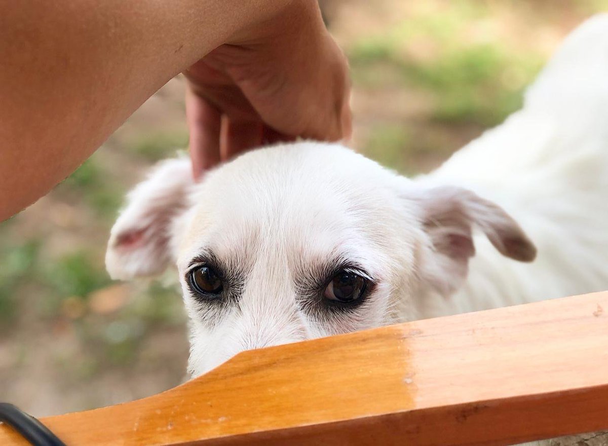 Emiliano Fuster tweet media