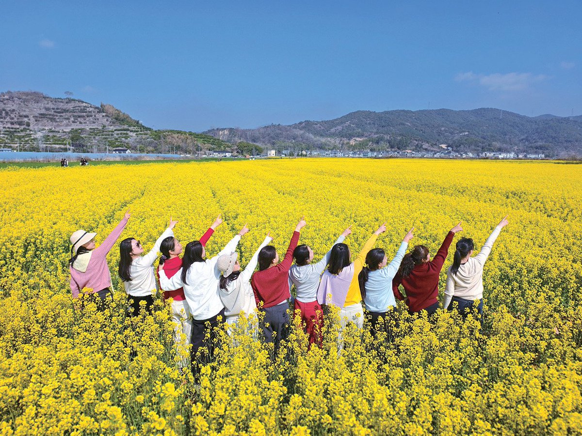 Insight Ninghai tweet media