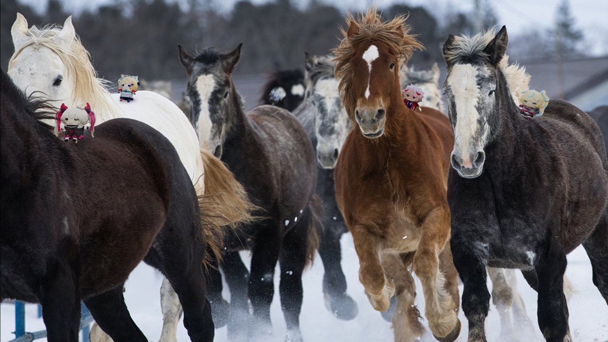 鈴木勝☪️にじさんじ tweet media