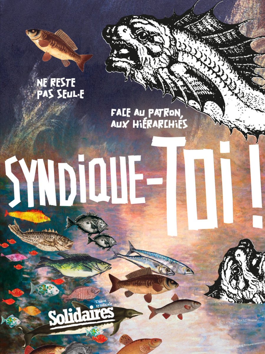 Union syndicale Solidaires 64 tweet media