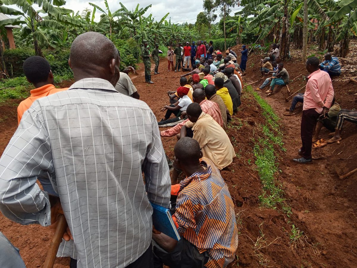 Rukara Sector tweet media