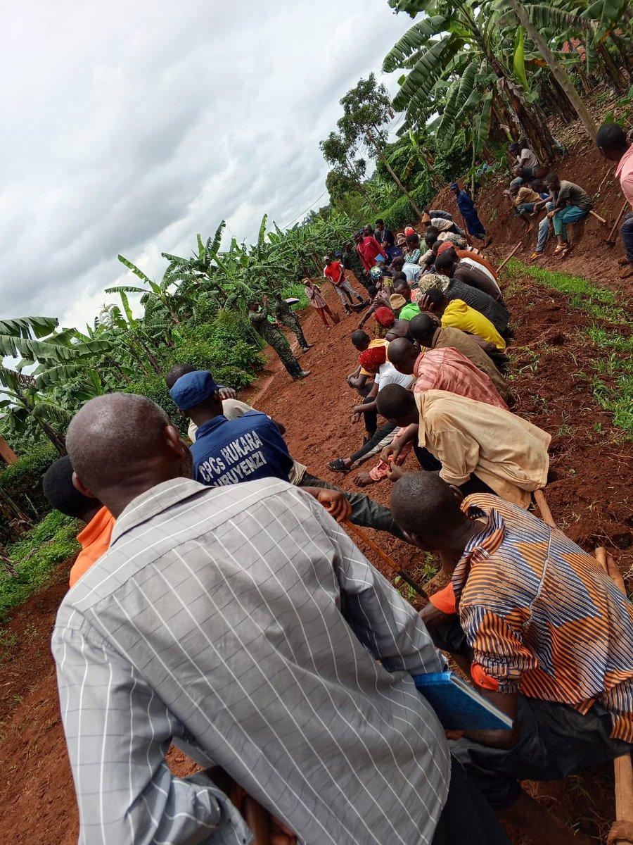 Rukara Sector tweet media