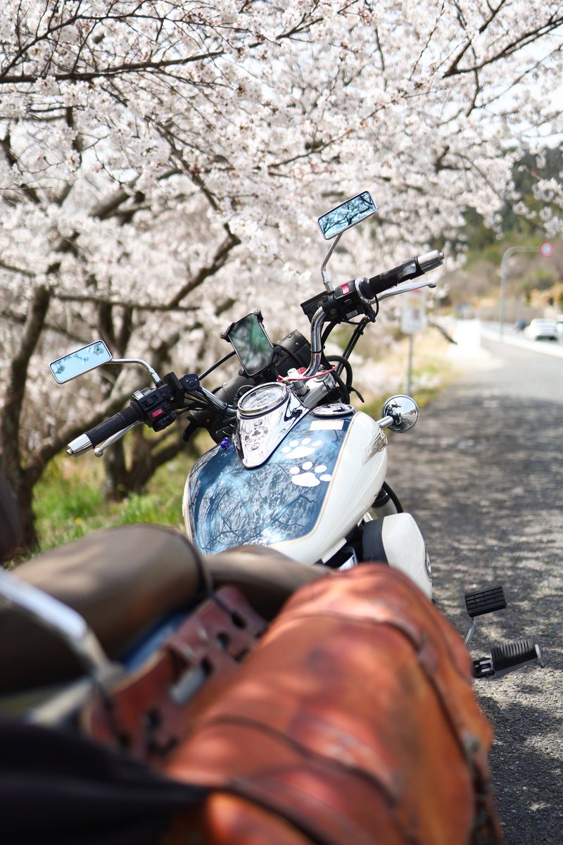 moris03_ds's tweet photo. 名前：もーりす
年齢：33
住み：広島
車種：Dragstar250ce
着物を普通に着ない人です(* ᐕ)
ドラスタ9年目突入しました🏍 https://t.co/N4GHc6Zovd