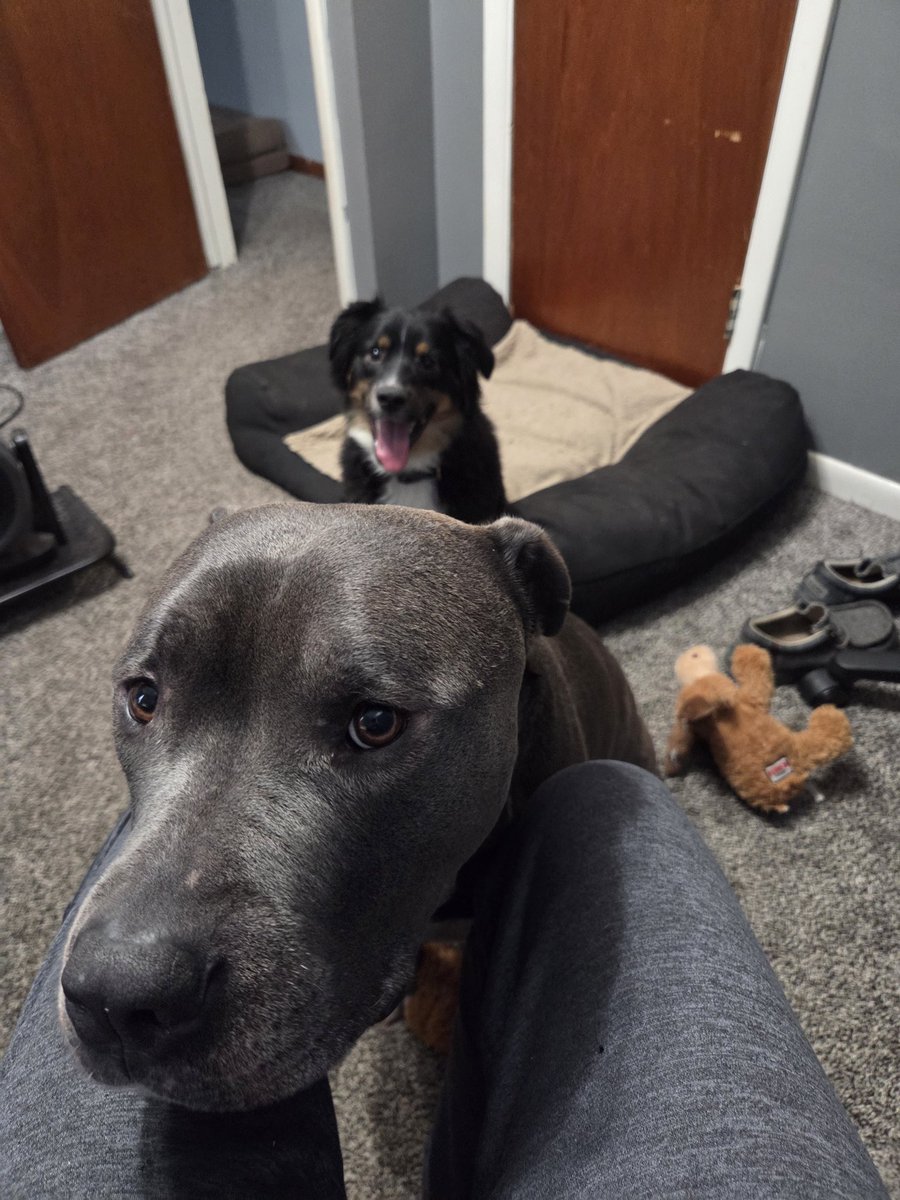 phillyphil tweet media