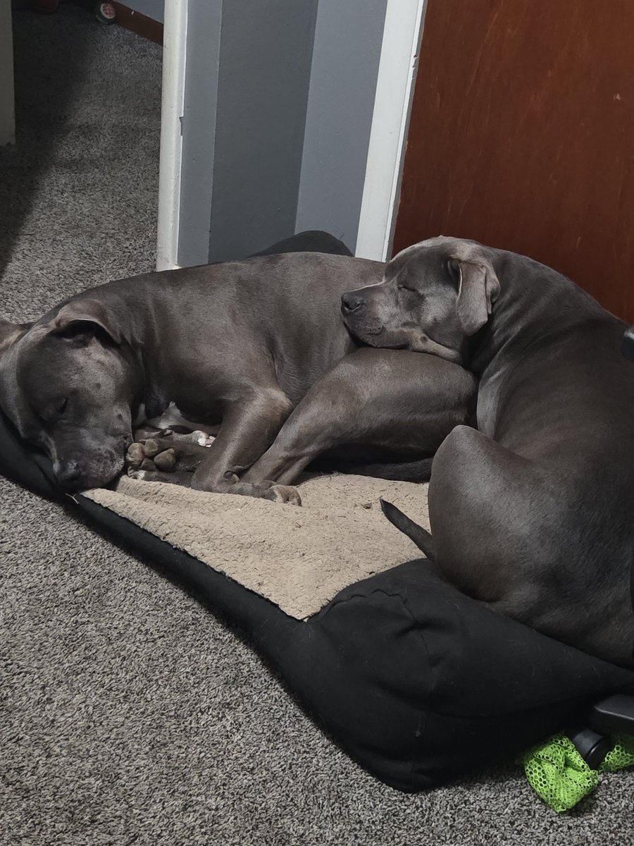 phillyphil tweet media