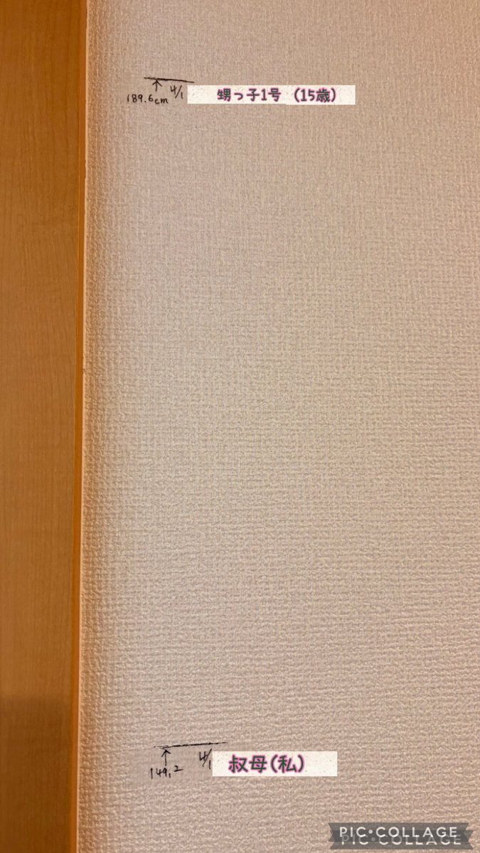 ぺすぺすのぺ🫶(藤ヶ谷) tweet media