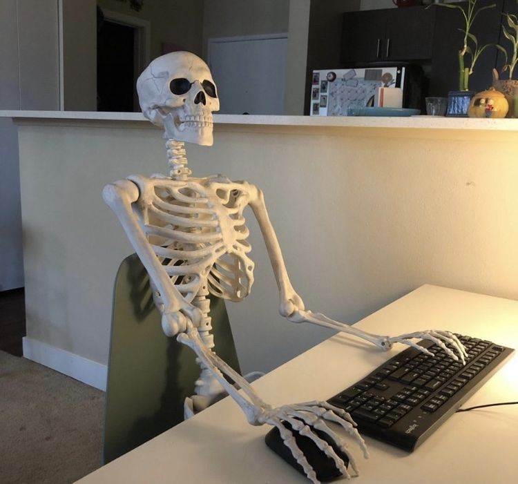 0xSkeleton 💀 tweet media