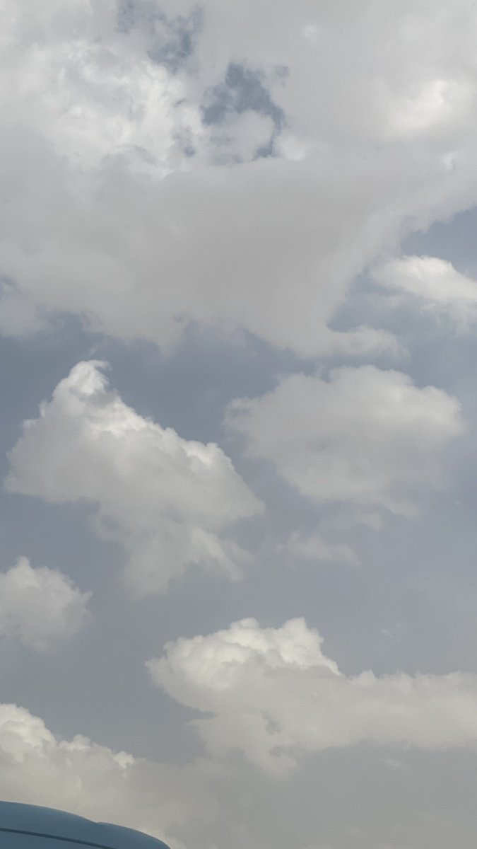 شهد فهد tweet media