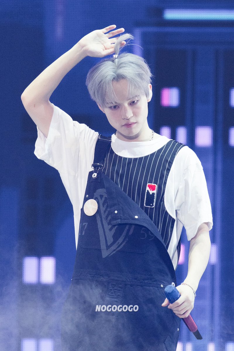 NOGOGOGO tweet media