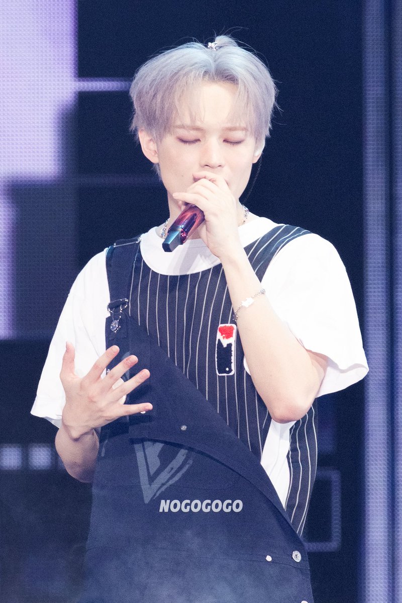 NOGOGOGO tweet media