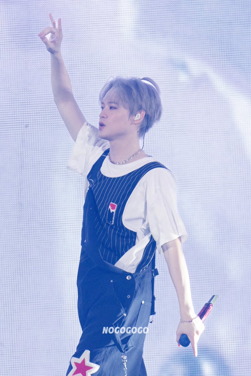 NOGOGOGO tweet media