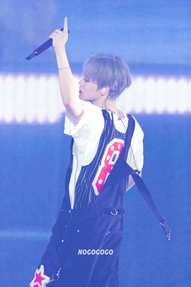 NOGOGOGO tweet media