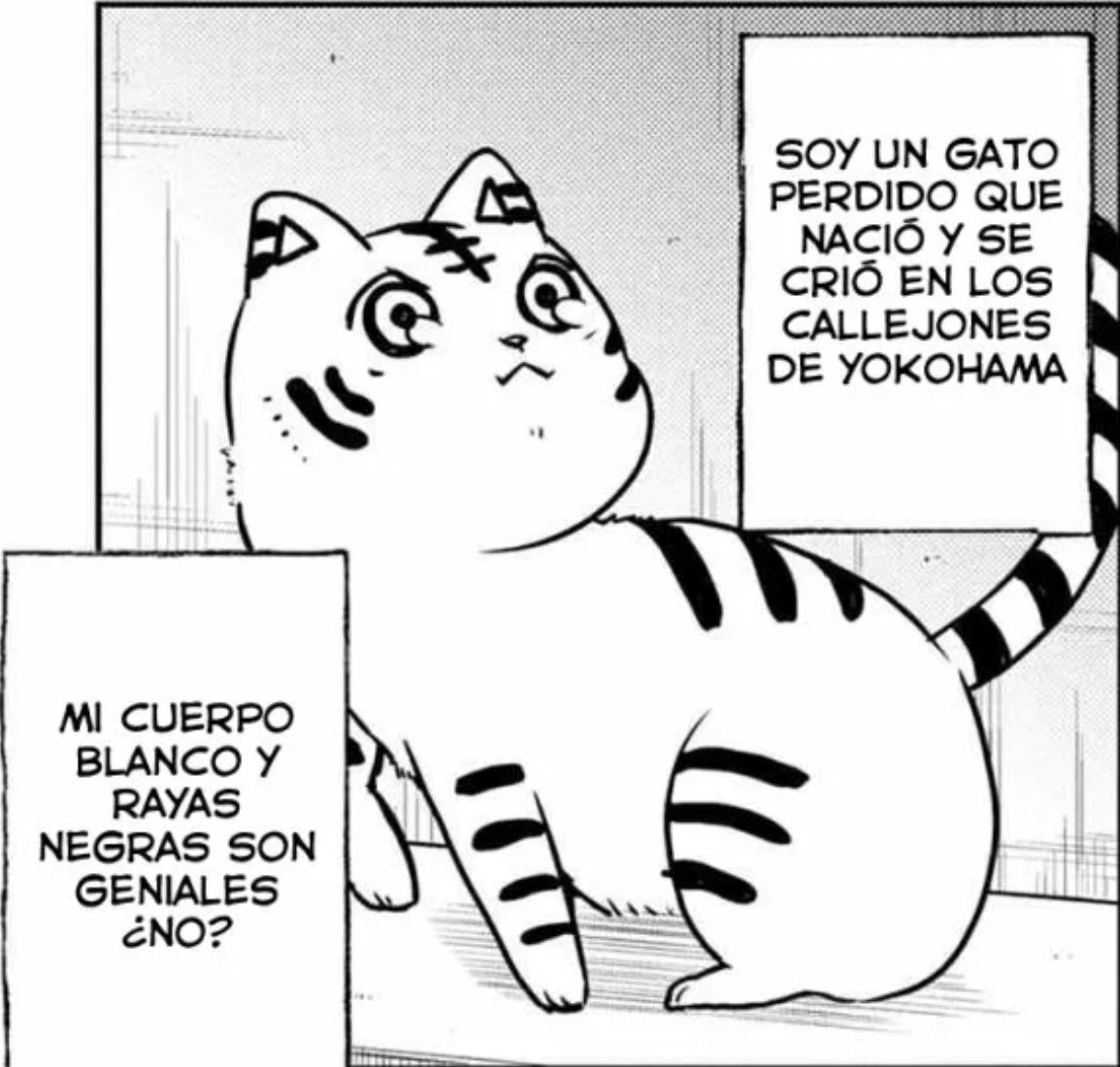 Natzia & Nally 💜✨️ tweet media