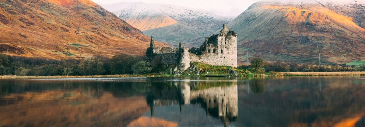 Framework Training tweet media