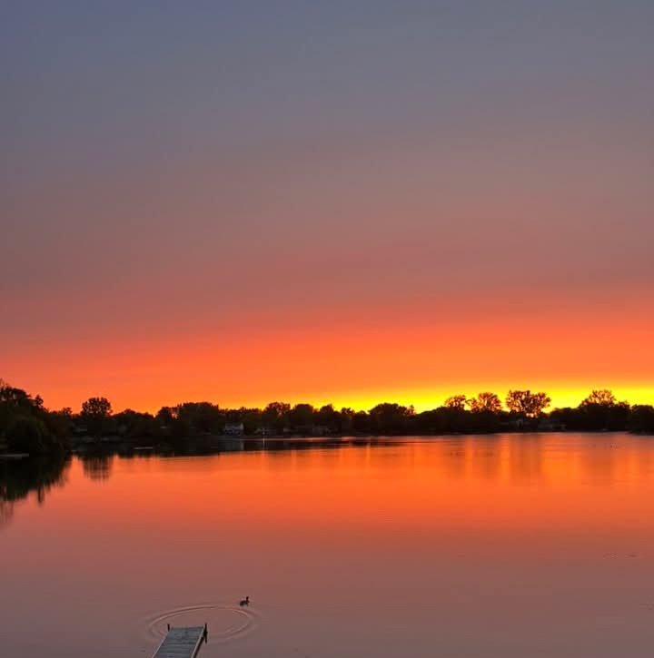 Mama Scar tweet media