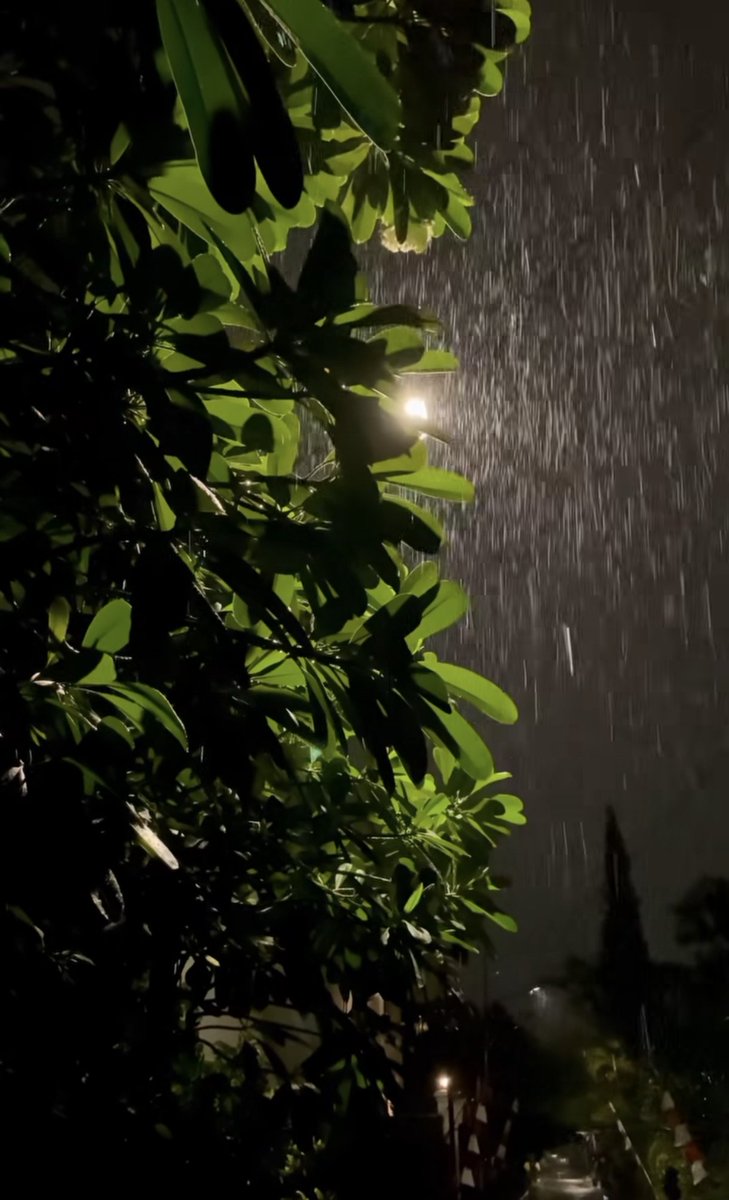 Estuwuuz ⚔⊹ ࣪ ˖ tweet media