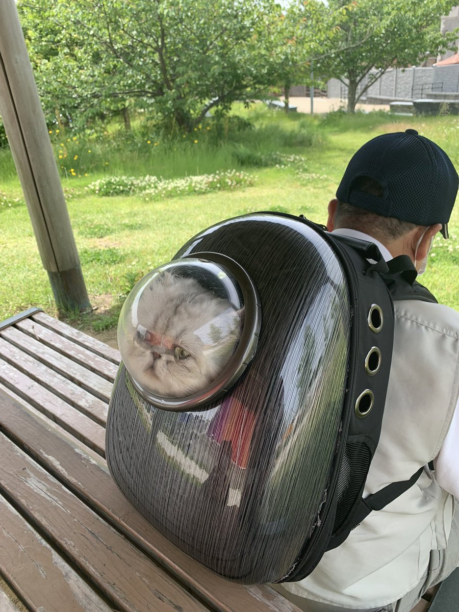 はちこ✿ tweet media