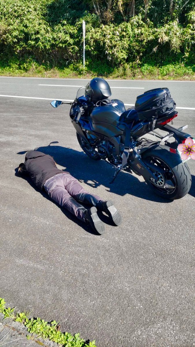 あんちゃん(´･ᴥ･`)🪕🎶 tweet media