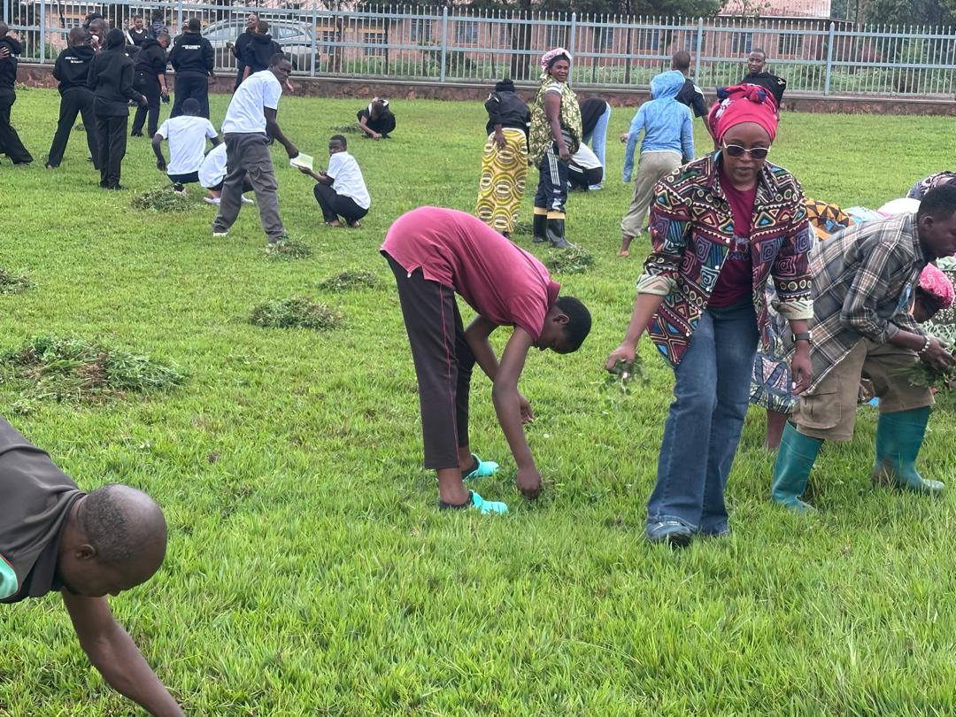 Rukara Sector tweet media