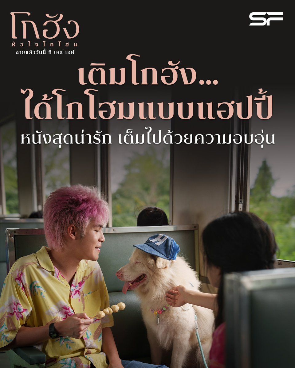 SF Cinema tweet media