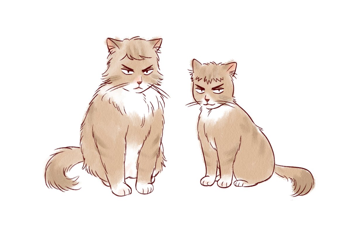 🍿养老泡泡人🍦 tweet media