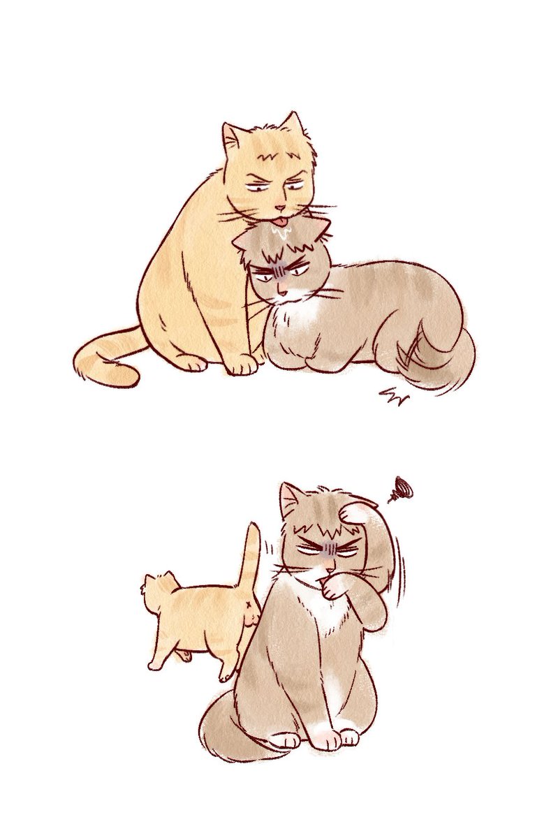 🍿养老泡泡人🍦 tweet media