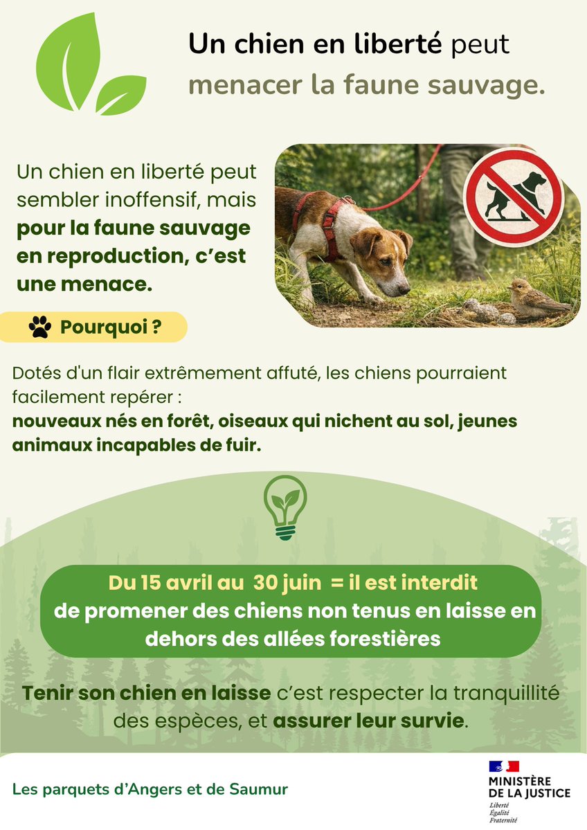 Eric BOUILLARD, procureur de la République Angers tweet media