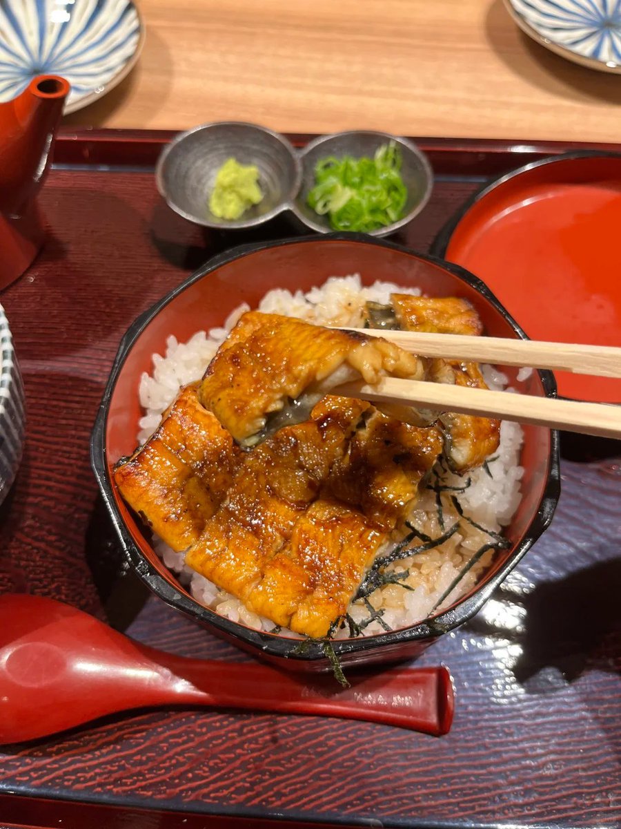 熟女茉莉 tweet media
