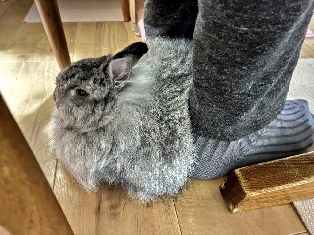 うのくらし tweet media