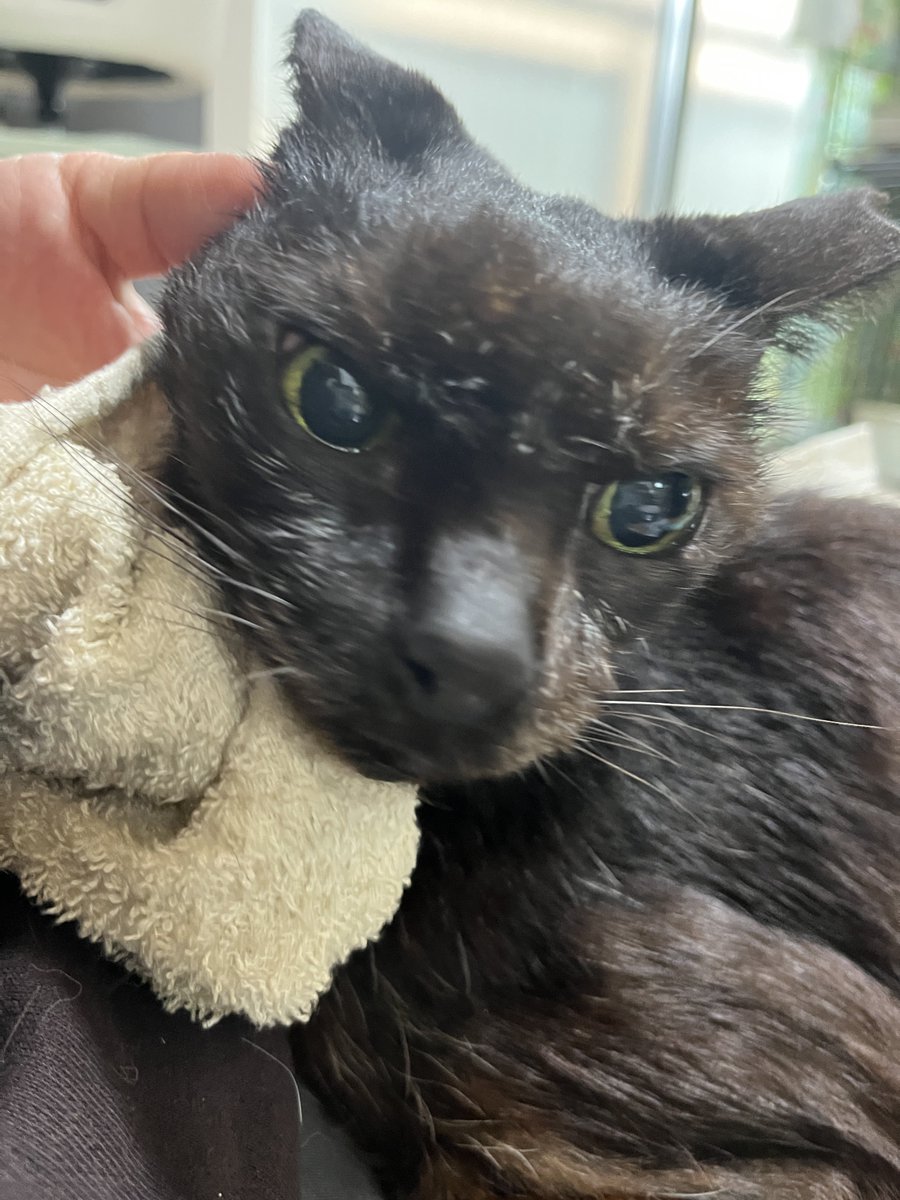 なかのひと的な2 tweet media