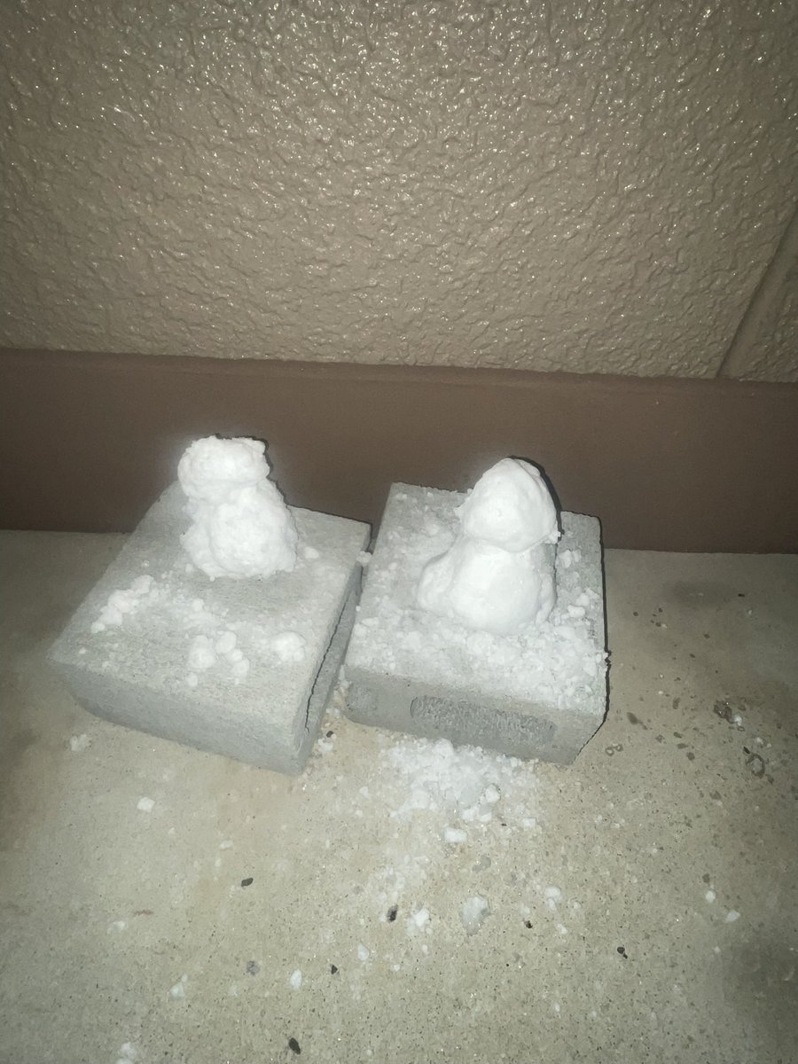 犬、反抗期 tweet media