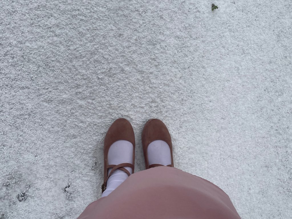 犬、反抗期 tweet media