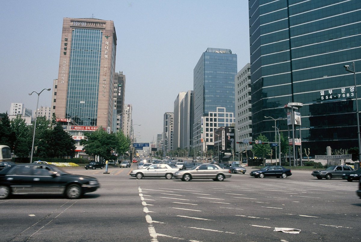 늘푸른소나무 tweet media