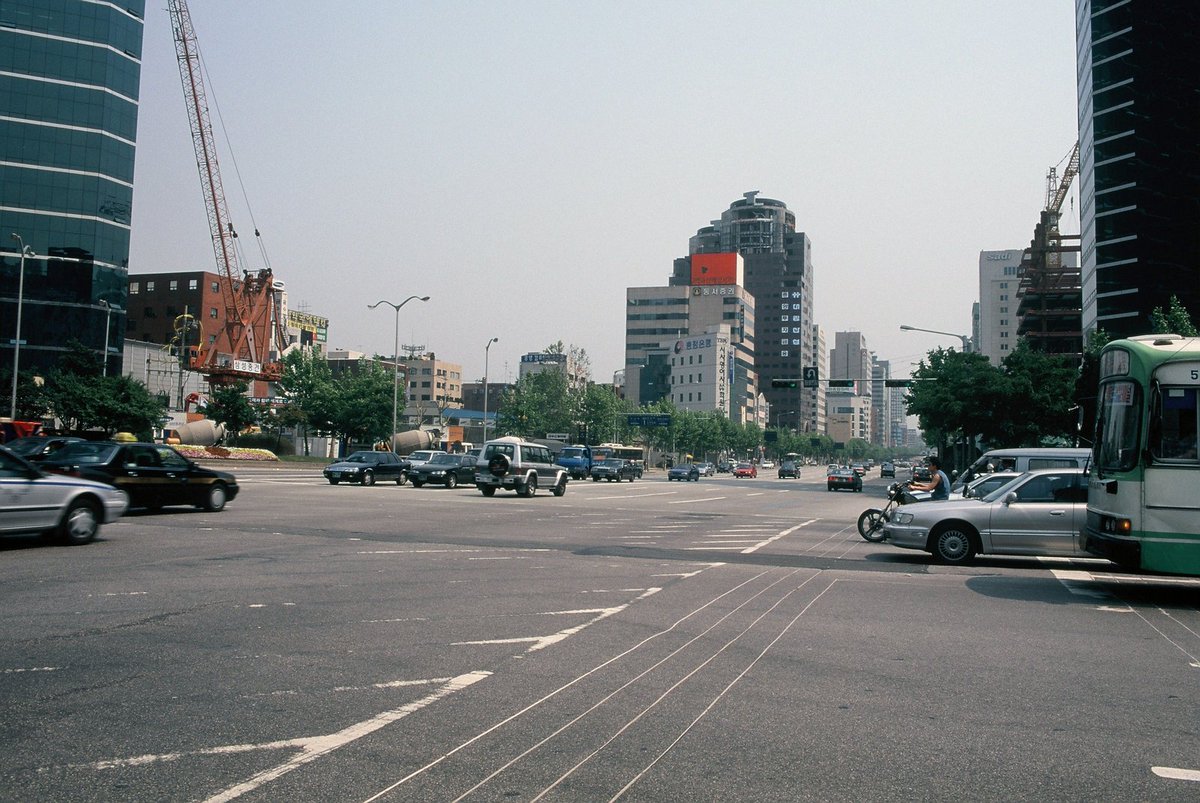 늘푸른소나무 tweet media