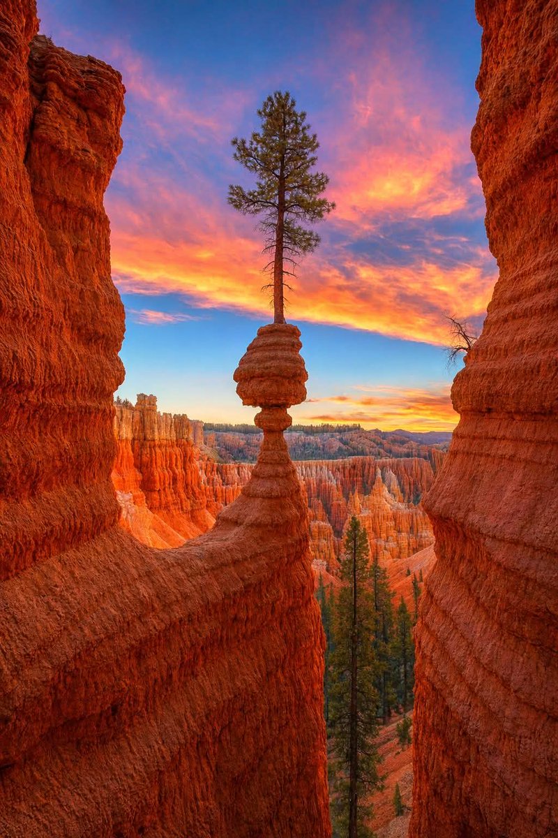 Bryce Canyon National Park in Utah 🇺🇸
