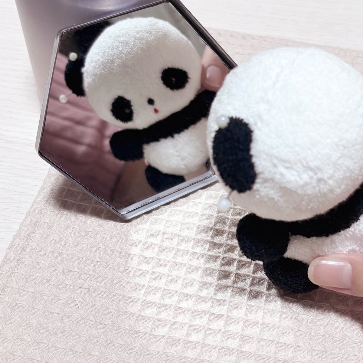 ⚫︎⚫︎37℃⚫︎⚫︎ tweet media