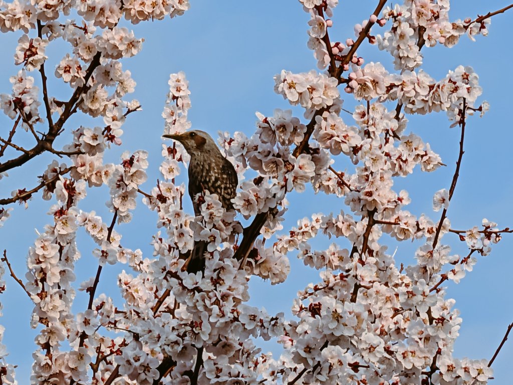こんばんは🌙
4月🌸
よろしくお願いいたします