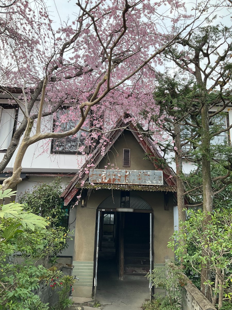 今週末！是非！
『ヨコ目でお花見 喫茶＆ライブ』
  4月5日(日)11:00～16:00
  銀月アパートメント 南12 にて。
　　　京都市左京区北白川伊織町30  
            
演奏：ヨコシマ・ベイスターズ
　　　　瀬戸信行:クラリネット
　　　　ウエッコ:バンジョーウクレレ
出張喫茶：空想-sky and water-