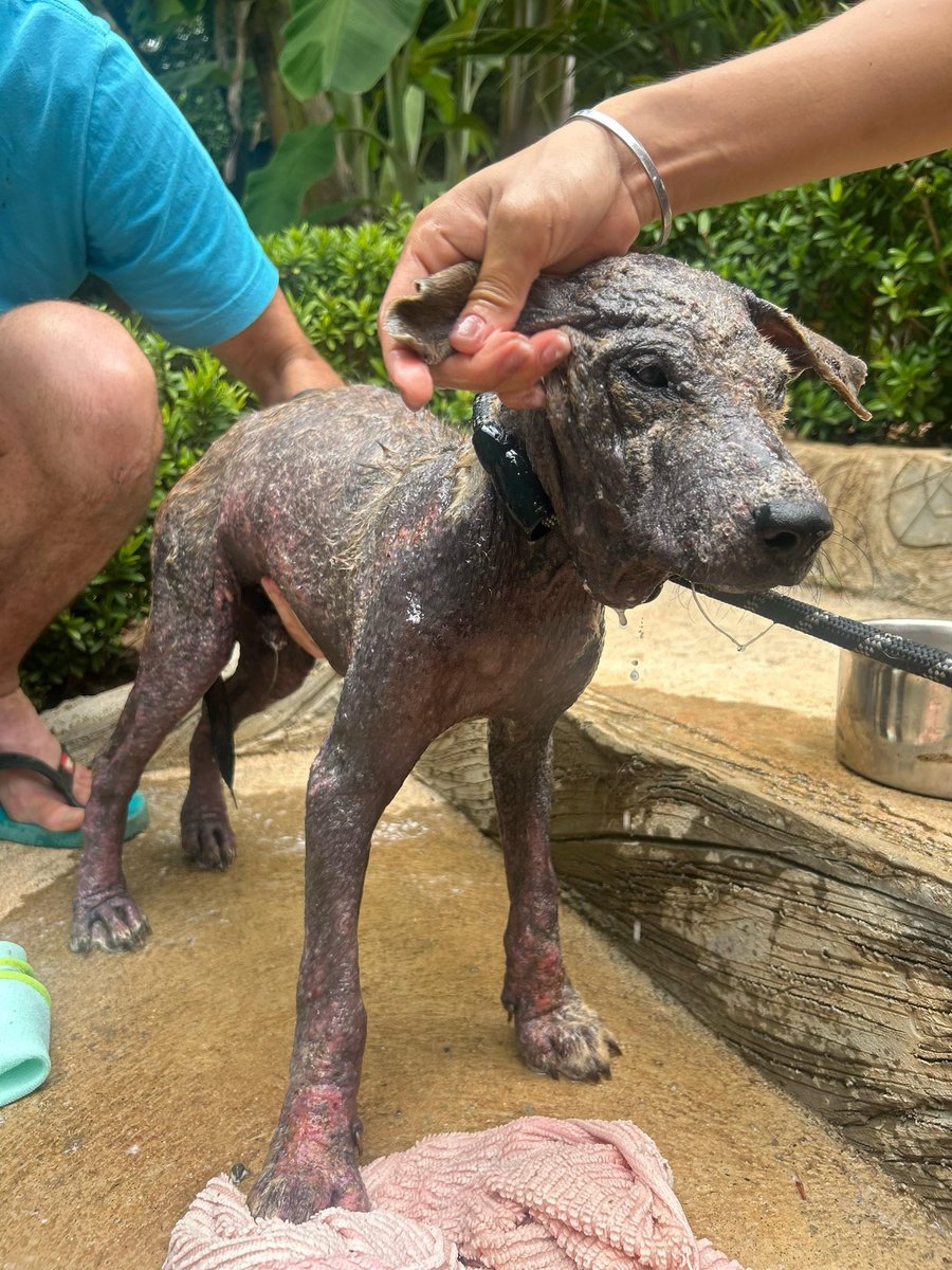 Niall Harbison tweet media