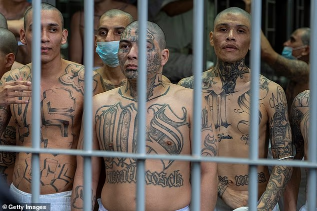 Jared Taylor tweet media