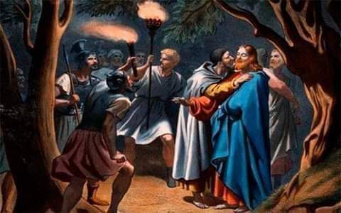 Juan C Celis S. tweet media