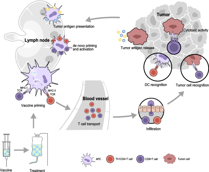 Equity Concall tweet media