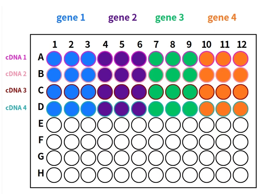 🔥 New blog up! Step‑by‑step qPCR pipetting guide 🚀
Learn how to calculate reaction volumes and prepare your master mix. 
Save &amp; repost if needed. ✅
ybiohub.com/%E7%94%9F%E7%8…