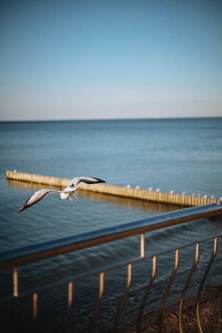 Dorine Brault tweet media